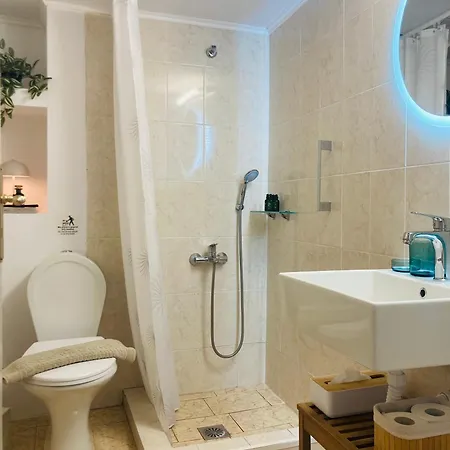 Апартаменты Selini Mani *