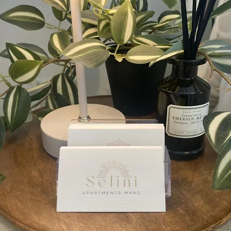 Selini Mani 아파트